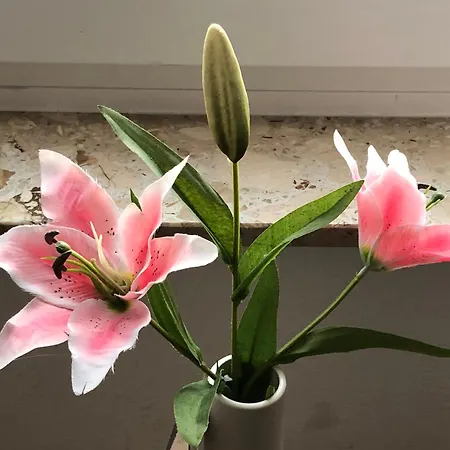 게스트하우스 Gaestehaus Falkenstein